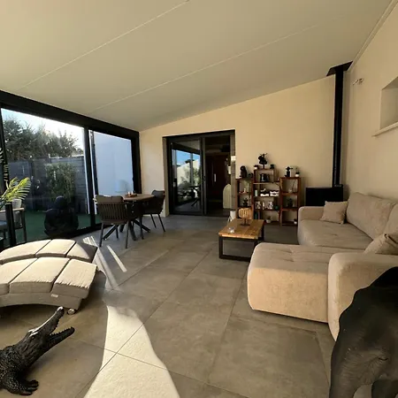 Reve D Amazonie & Les Mages