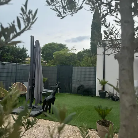 Reve D Amazonie & Les Mages